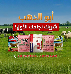 ابوالدهب للاعلاف